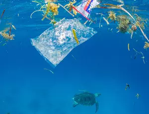 Oceans, pollution