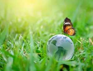 Journée de la terre 2020 - Papillon