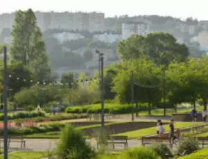 Responsabilité sociétale des entreprises, performance plurielle