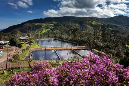 Antanas Technology Park in Colombia