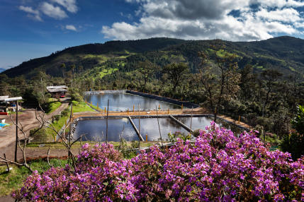 Antanas Technology Park in Colombia