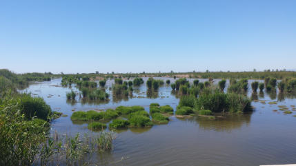 Wetlands of the Ebro Delta, Spain